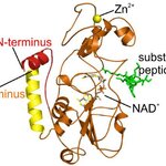 Article teaser image