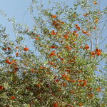 Article teaser image