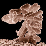 Article teaser image