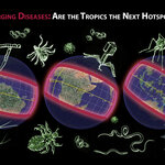 Article teaser image