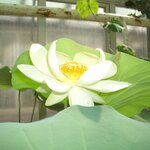 Article teaser image