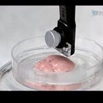 Article teaser image