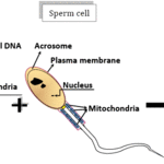 Article teaser image