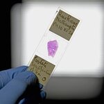 Article teaser image