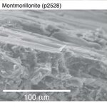 Article teaser image