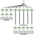 Article teaser image