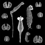 Article teaser image