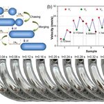 Article teaser image