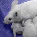 Article teaser image