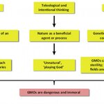 Article teaser image