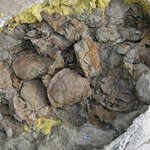 Article teaser image