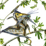 Article teaser image