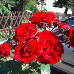 Article teaser image