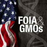 Article teaser image