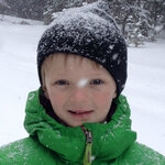 Article teaser image