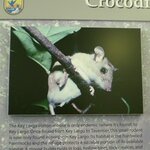 Article teaser image