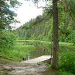 Article teaser image